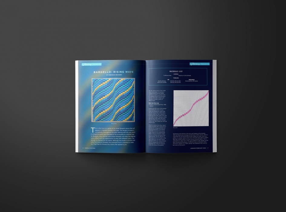 ANG Needle Pointers Magazine