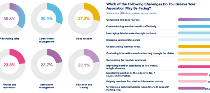 Colorful pie charts and graphs